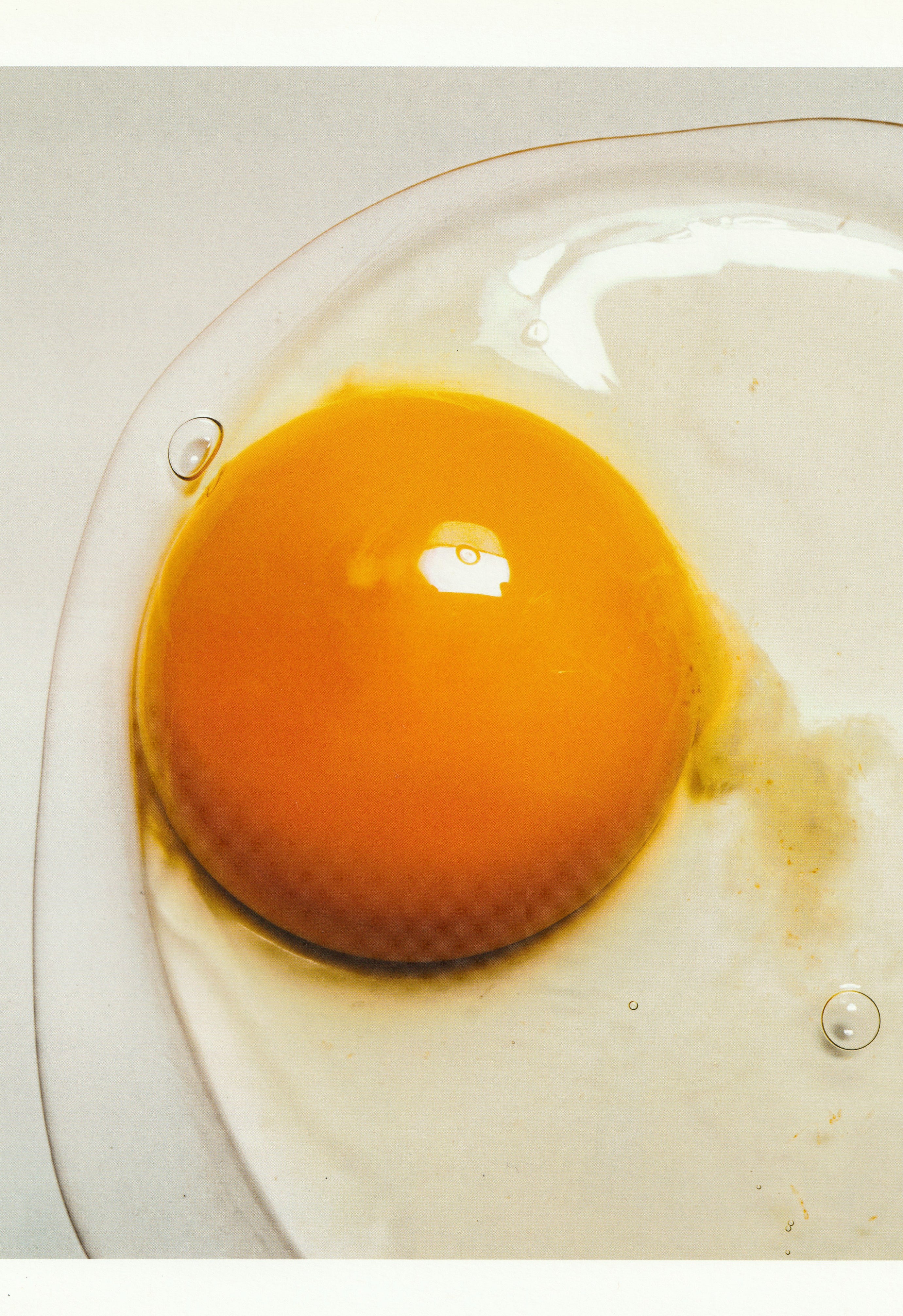 IRVING PENN & ISSEY MIYAKE: VISUAL DIALOGUE 2011