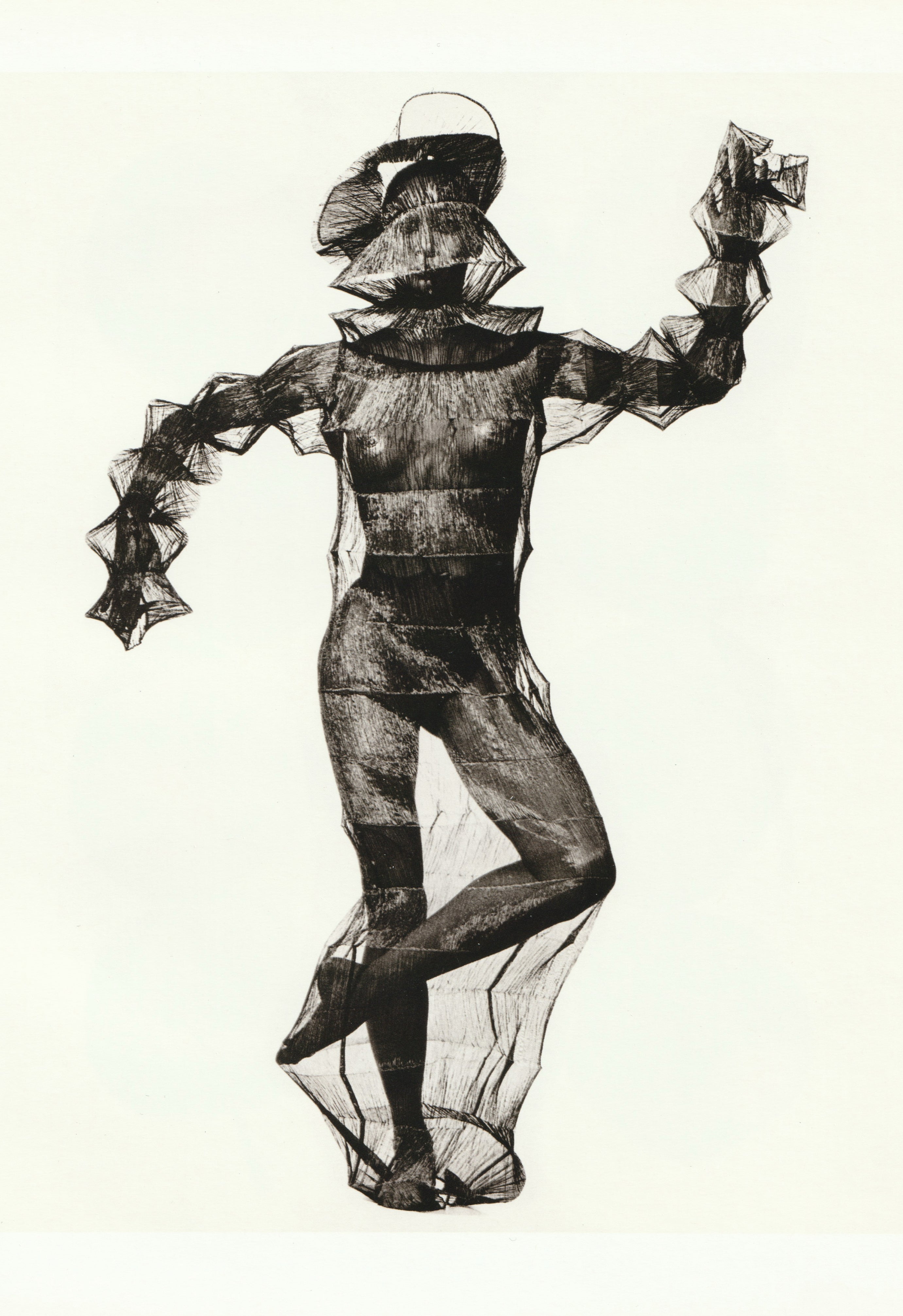 IRVING PENN & ISSEY MIYAKE: VISUAL DIALOGUE 2011