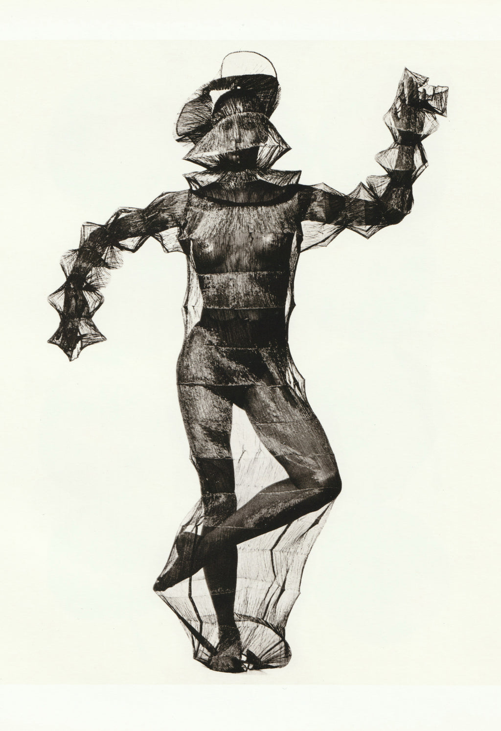 IRVING PENN & ISSEY MIYAKE: VISUAL DIALOGUE 2011