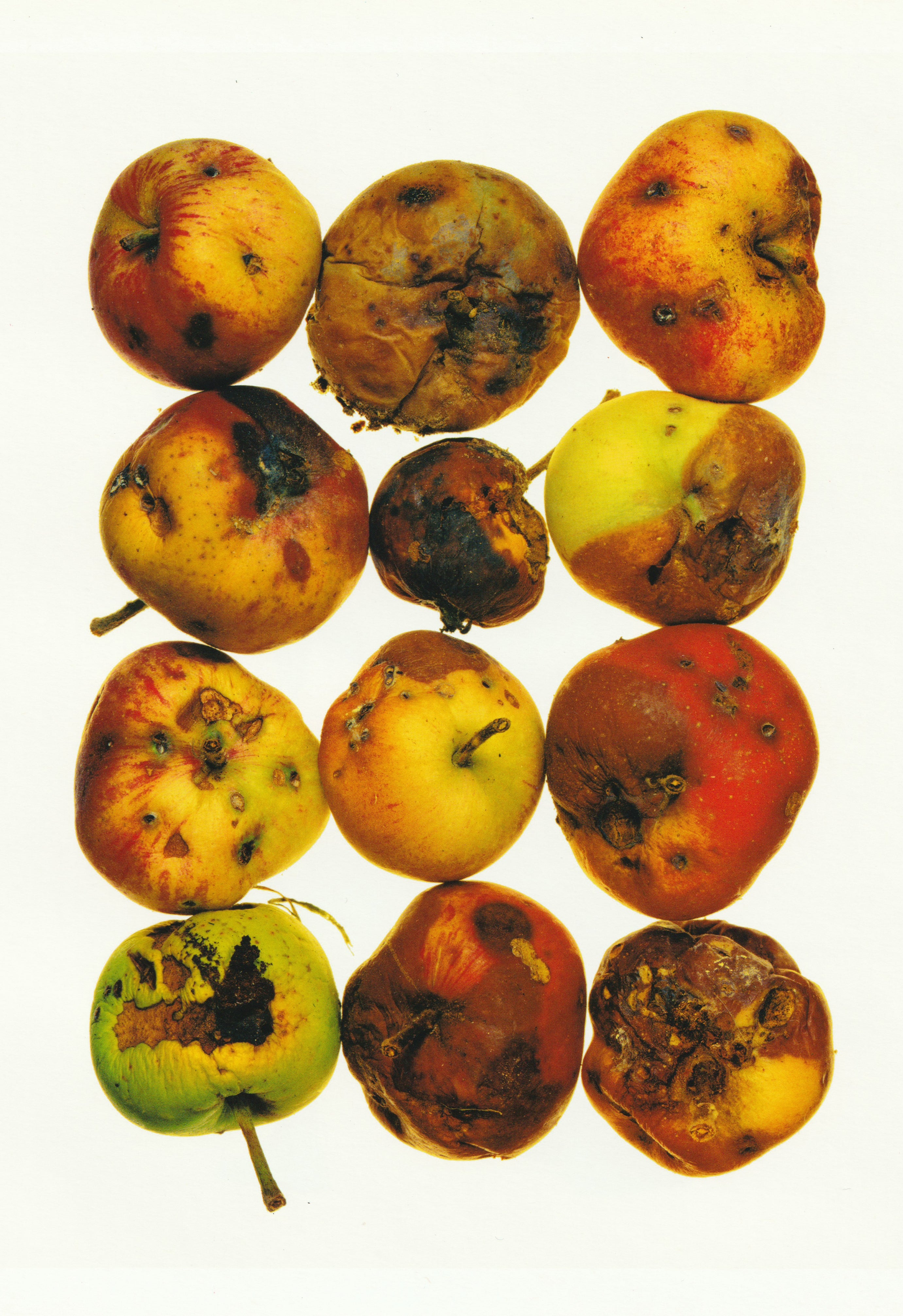 IRVING PENN & ISSEY MIYAKE: VISUAL DIALOGUE 2011