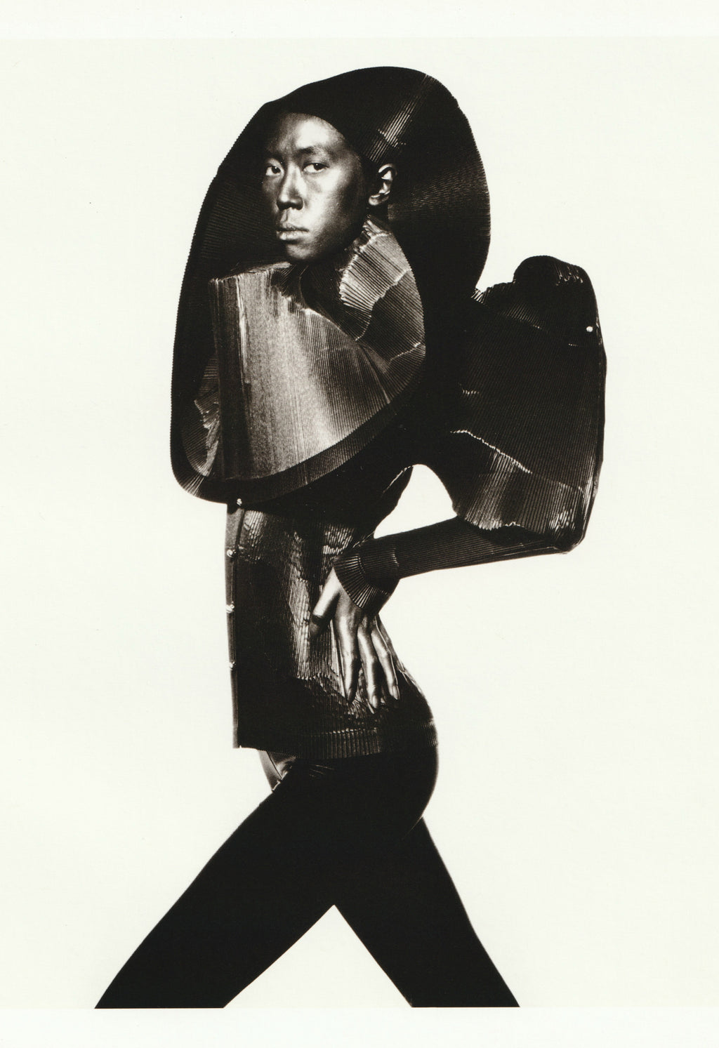 IRVING PENN & ISSEY MIYAKE: VISUAL DIALOGUE 2011