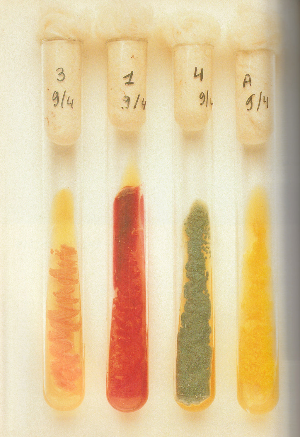 STUDIO VOICE 1998 MARTIN MARGIELA EDITION