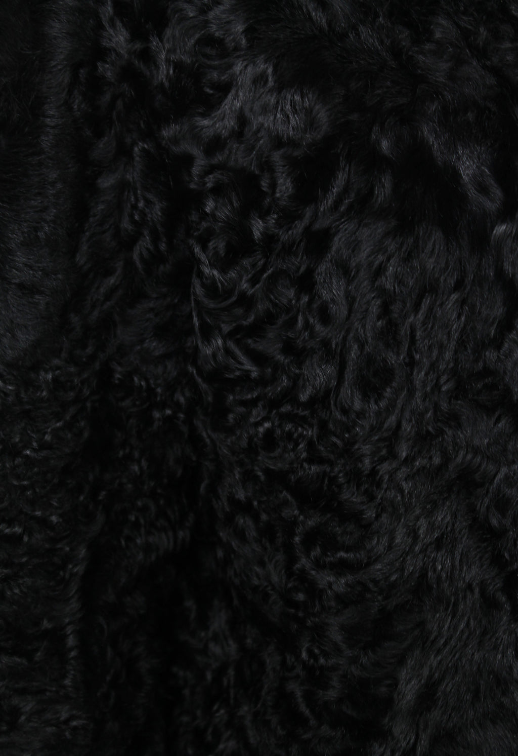 MIU MIU FW 2005 BLACK FUR JACKET