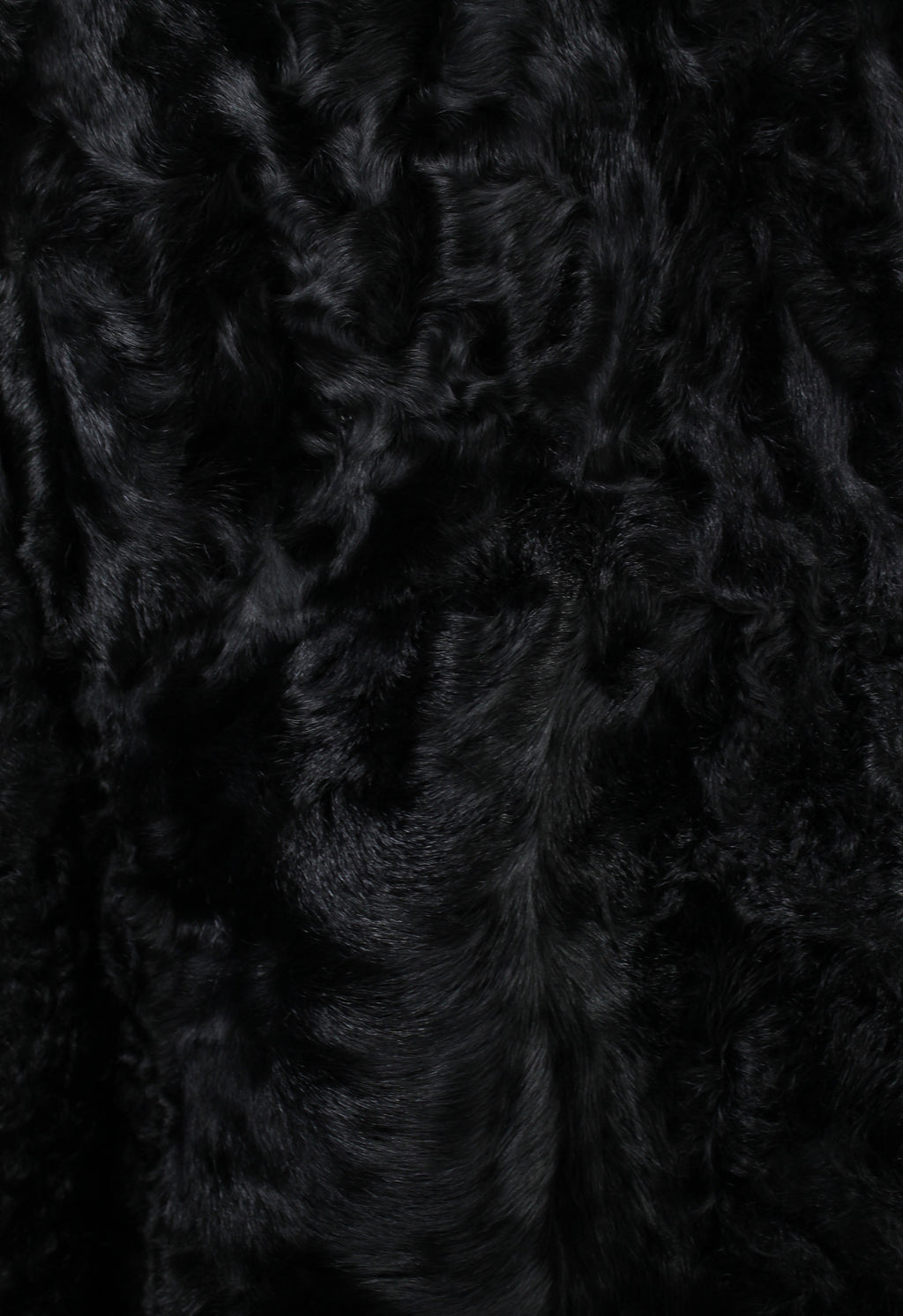 MIU MIU FW 2005 BLACK FUR JACKET